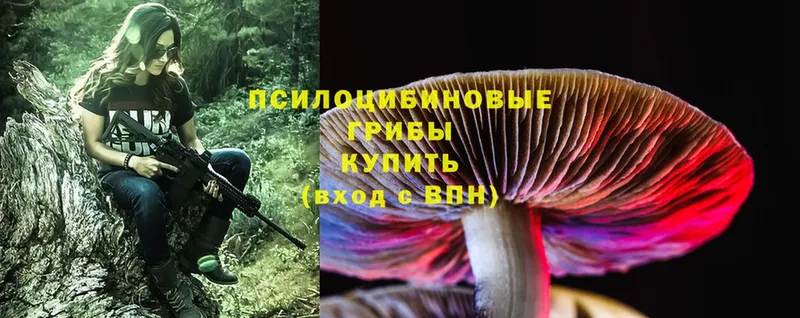 Галлюциногенные грибы Magic Shrooms  где купить   Нязепетровск 